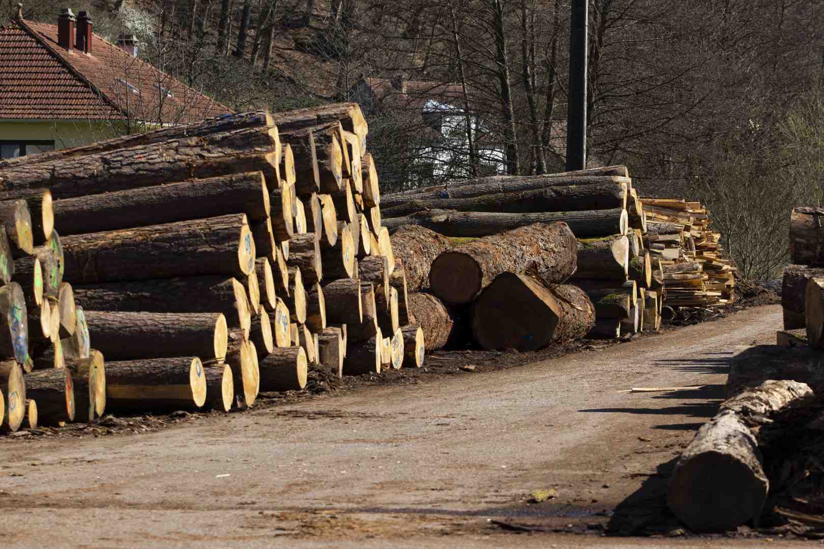 SCIERIE LEJEUNE SIERSTHAL