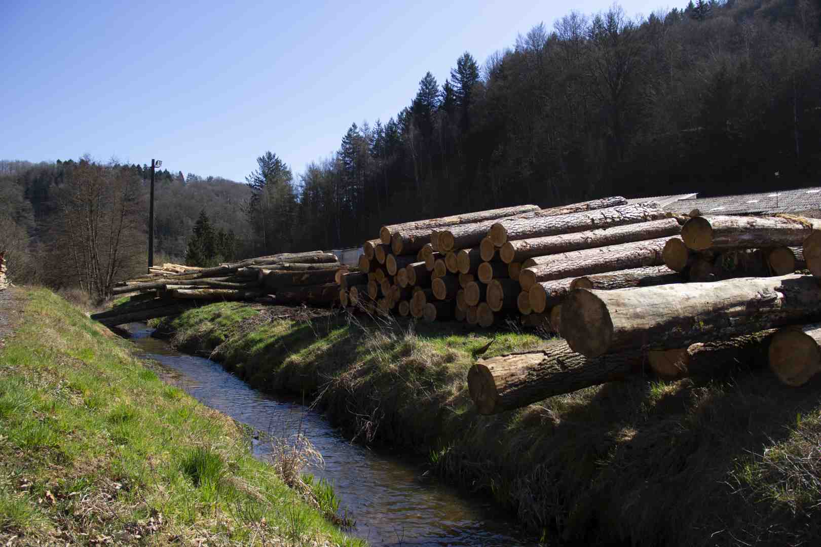 SCIERIE LEJEUNE SIERSTHAL